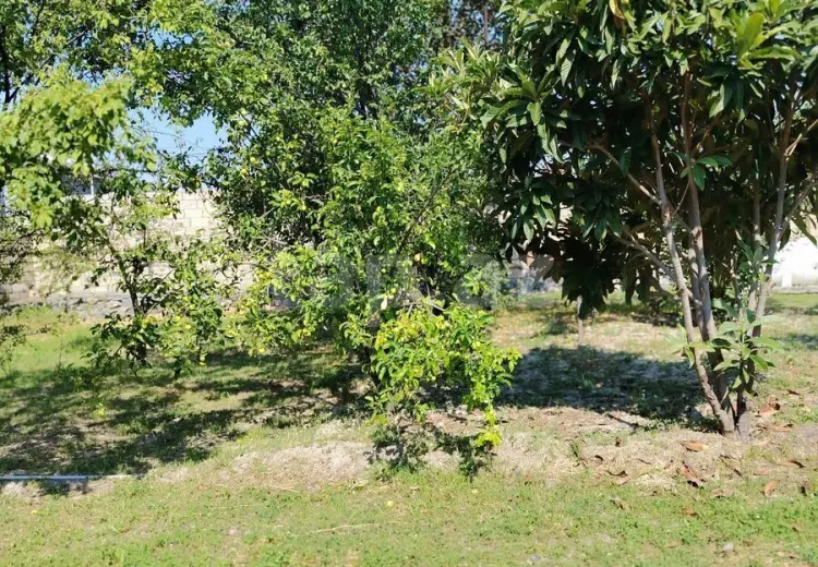 3 otaqlı mənzil , Şəki