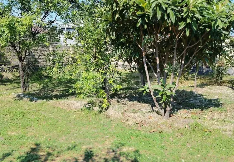 3 otaqlı mənzil , Şəki