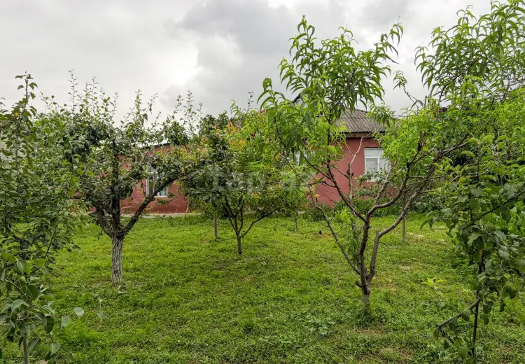 0 m² Obyekt / Ofis , Qusar