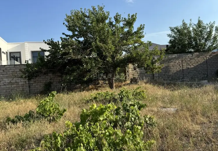 6 sot Torpaq Satılır, Mərdəkan, Xəzər, Bakı