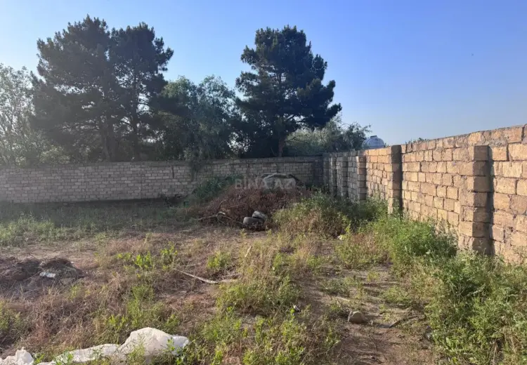 6 sot Torpaq Satılır, Novxanı, Abşeron