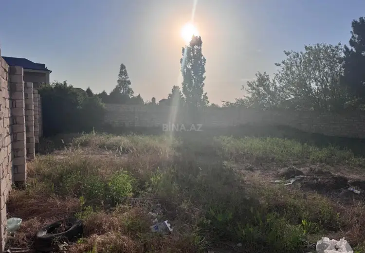 6 sot Torpaq Satılır, Novxanı, Abşeron