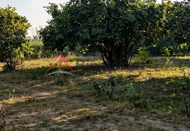 50 sot Torpaq Satılır, Qəbələ