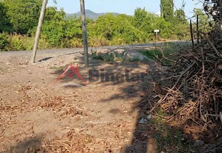 50 sot Torpaq Satılır, Qəbələ