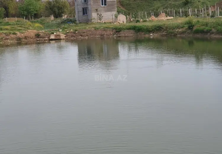 320 sot Torpaq Satılır, Şamaxı