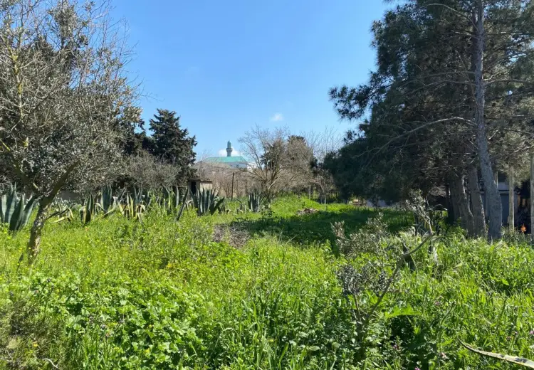 24 sot Torpaq Satılır, Mərdəkan, Xəzər, Bakı