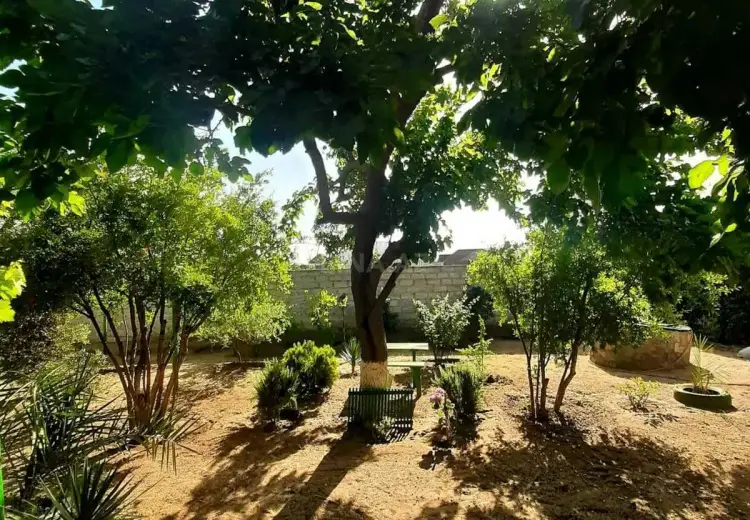 24 sot Torpaq Satılır, Mərdəkan, Xəzər, Bakı