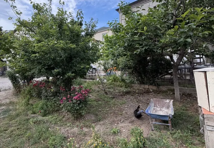 3.1 sot Torpaq Satılır, Bakıxanov qəs., Sabunçu, Bakı