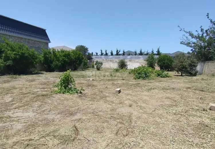 4 sot Torpaq Satılır, Novxanı, Abşeron