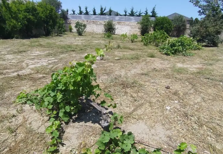 4 sot Torpaq Satılır, Novxanı, Abşeron