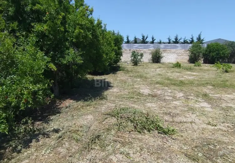 4 sot Torpaq Satılır, Novxanı, Abşeron