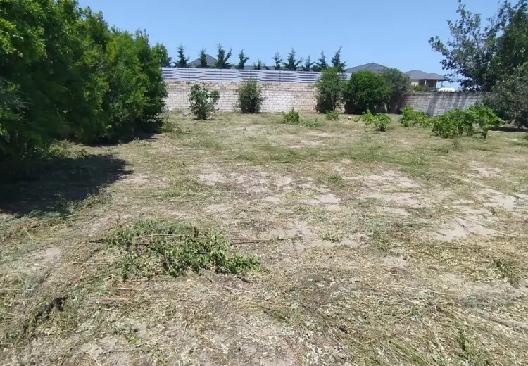 4 sot Torpaq Satılır, Novxanı, Abşeron