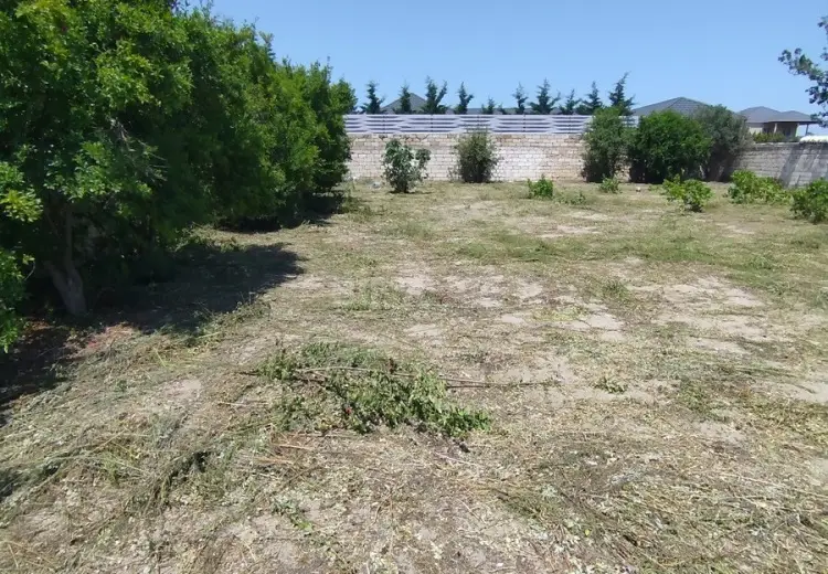 4 sot Torpaq Satılır, Novxanı, Abşeron