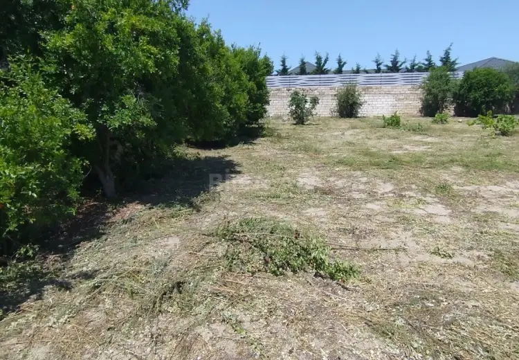 4 sot Torpaq Satılır, Novxanı, Abşeron