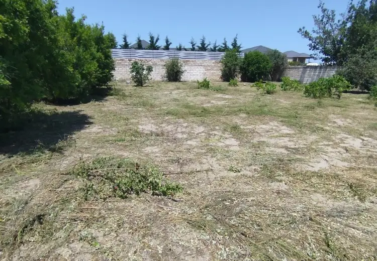 4 sot Torpaq Satılır, Novxanı, Abşeron