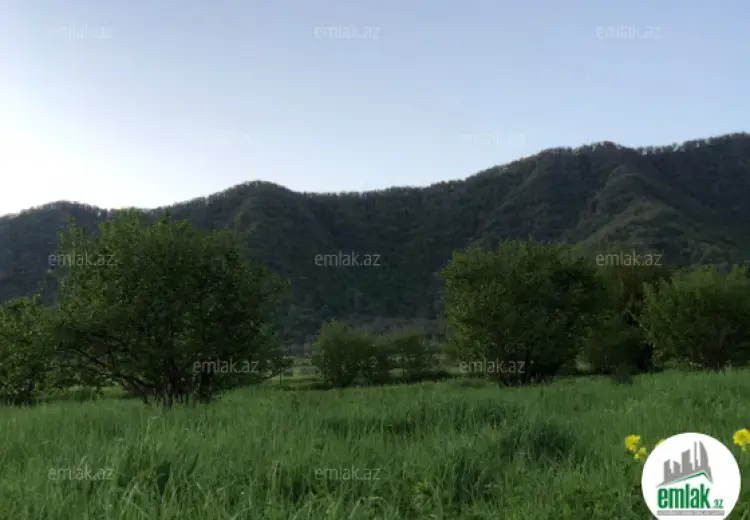 50 sot Torpaq Satılır, Qəbələ