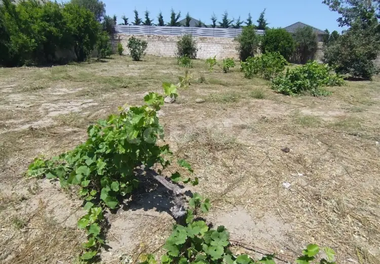 0 m² Obyekt / Ofis , Novxanı, Abşeron