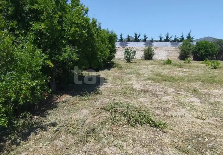 0 m² Obyekt / Ofis , Novxanı, Abşeron