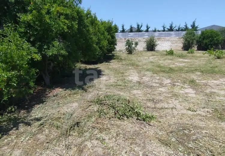 0 m² Obyekt / Ofis , Novxanı, Abşeron