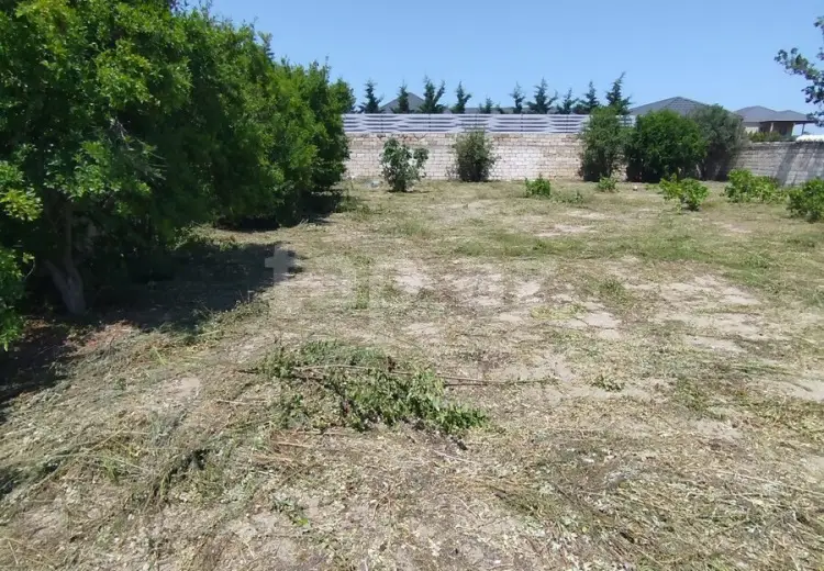 0 m² Obyekt / Ofis , Novxanı, Abşeron