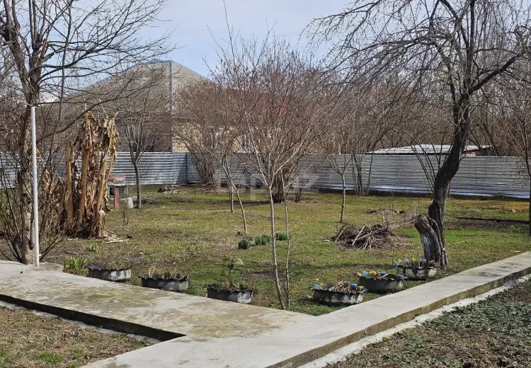 3 otaqlı mənzil , Qəbələ