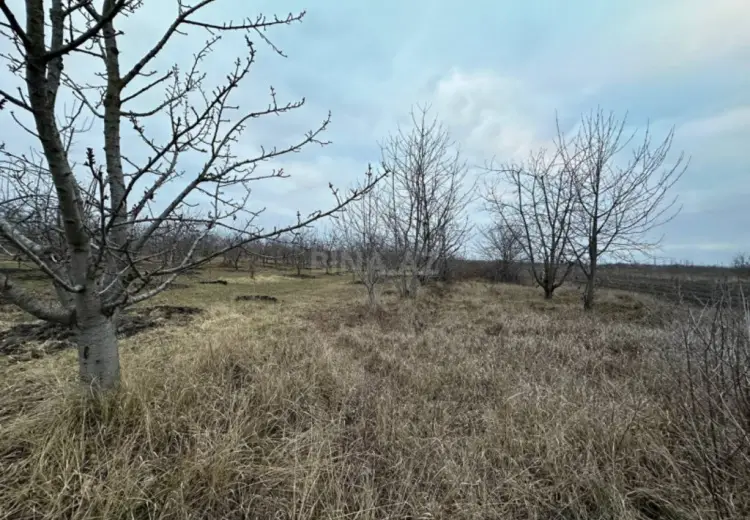 16 sot Torpaq Satılır, Quba