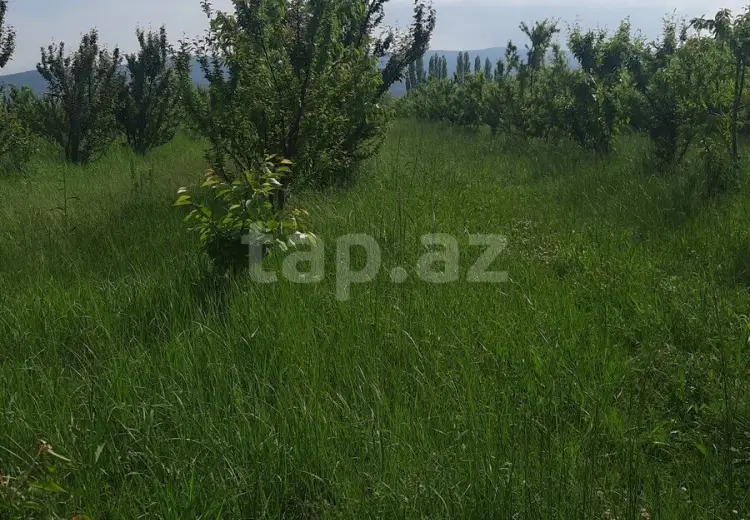 0 m² Obyekt / Ofis , Quba