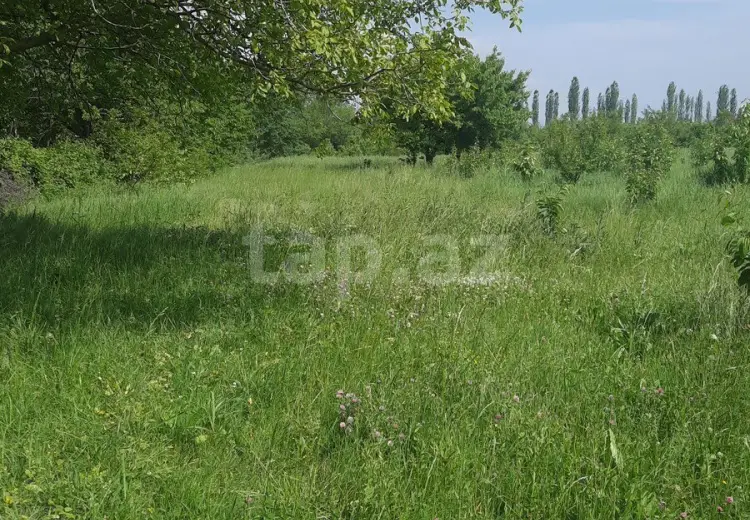 0 m² Obyekt / Ofis , Quba