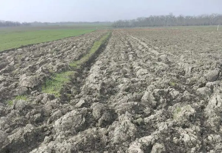 56 sot Torpaq Satılır, Xudat