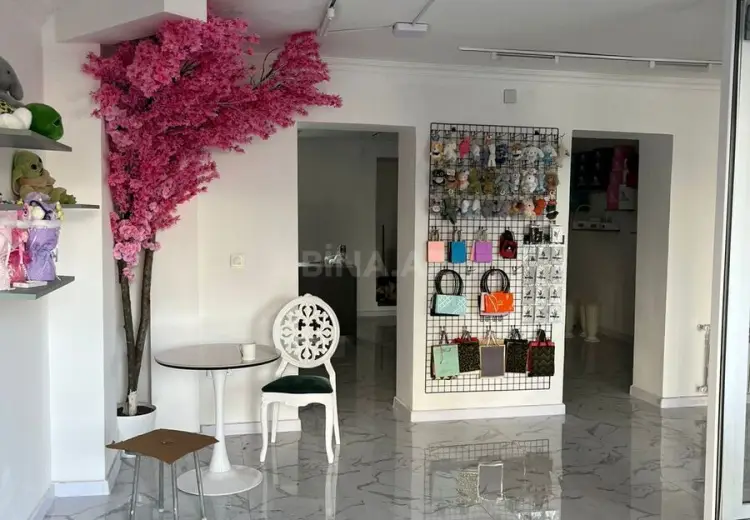 65 m² Obyekt / Ofis Satılır, Nəsimi, Bakı