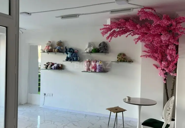 65 m² Obyekt / Ofis Satılır, Nəsimi, Bakı