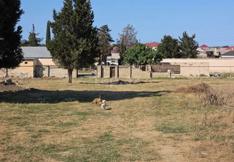 0 m² Obyekt / Ofis , Ramana qəs., Sabunçu, Bakı