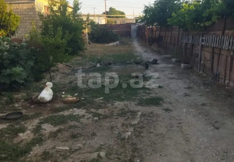 3 otaqlı mənzil , Sumqayıt