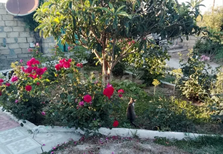 3 otaqlı mənzil , Sumqayıt