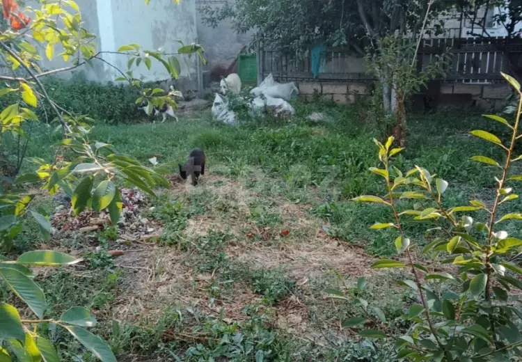 3 otaqlı mənzil , Sumqayıt