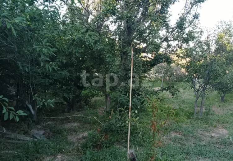3 otaqlı mənzil , Sumqayıt