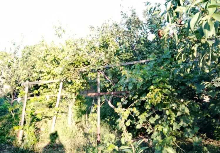 3 otaqlı mənzil , Sumqayıt