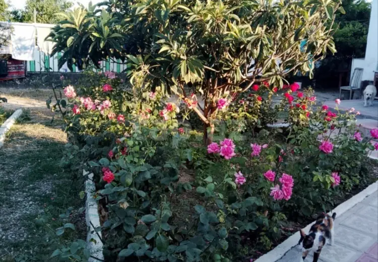 3 otaqlı mənzil , Sumqayıt