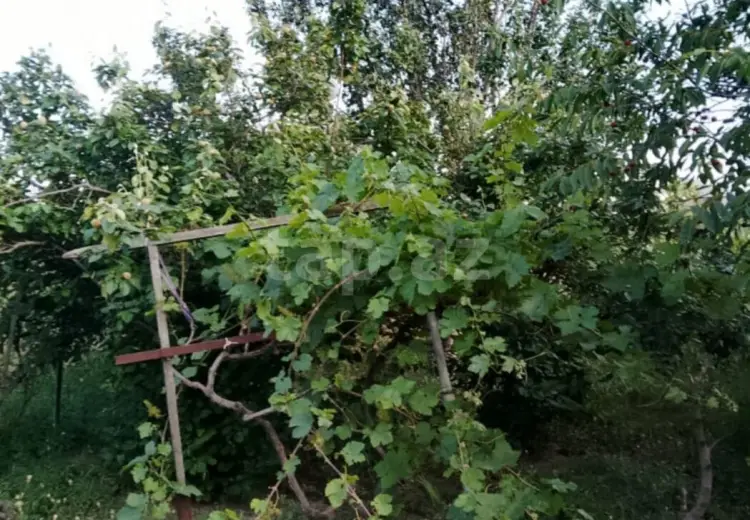 3 otaqlı mənzil , Sumqayıt