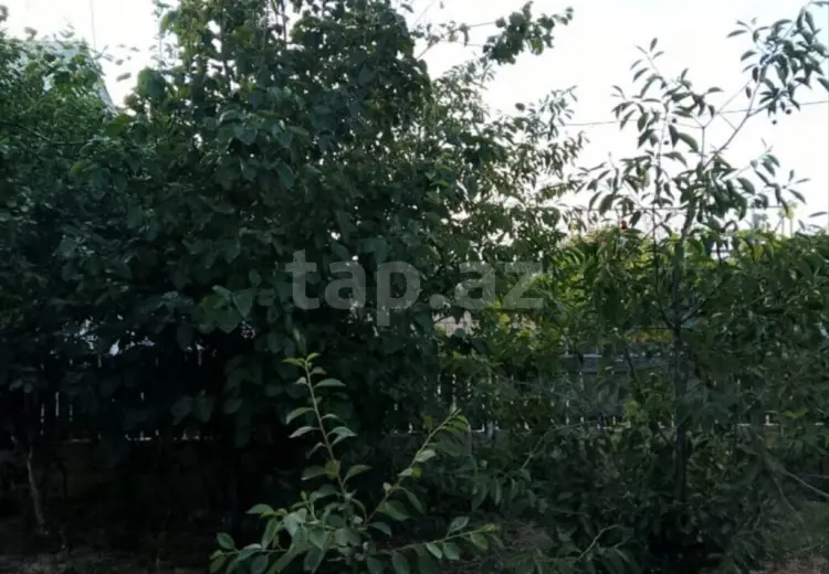 3 otaqlı mənzil , Sumqayıt