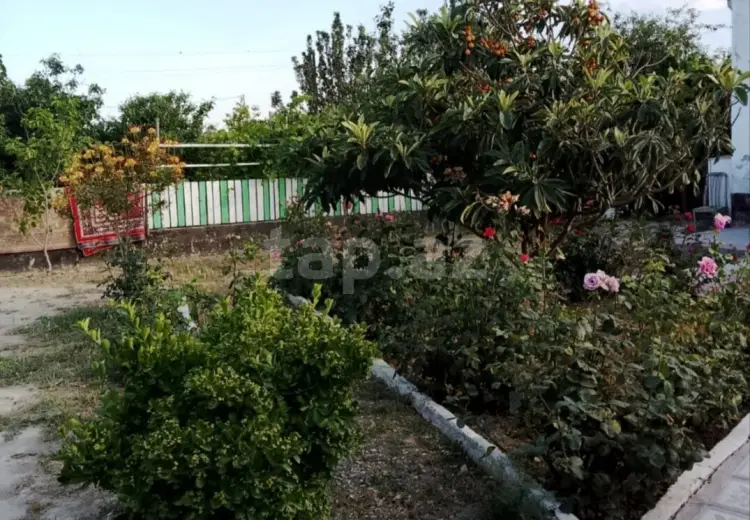 3 otaqlı mənzil , Sumqayıt