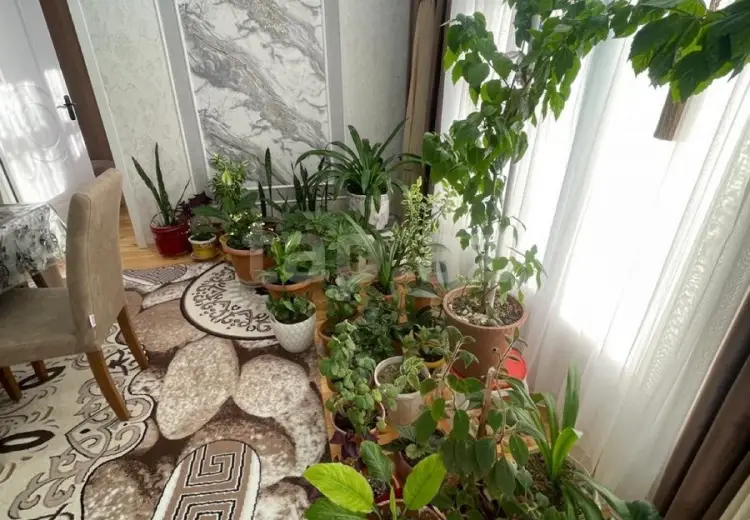 3 otaqlı mənzil , Bakı