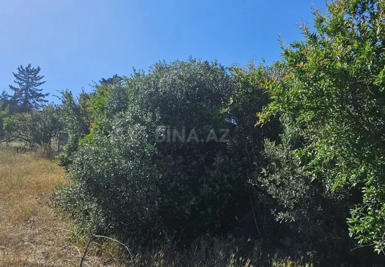 12 sot Torpaq Satılır, Nardaran qəs., Sabunçu, Bakı