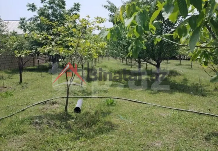 12 sot Torpaq Satılır, Bərdə