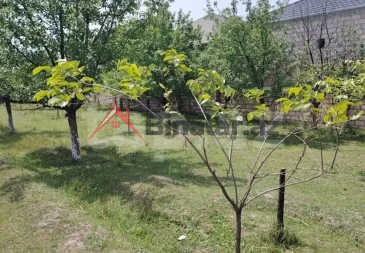 12 sot Torpaq Satılır, Bərdə