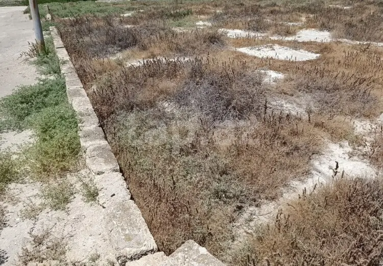 0 m² Obyekt / Ofis , Zirə, Xəzər, Bakı