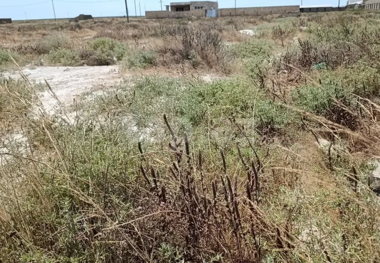 0 m² Obyekt / Ofis , Zirə, Xəzər, Bakı