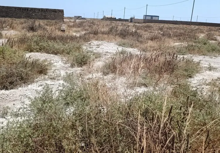 0 m² Obyekt / Ofis , Zirə, Xəzər, Bakı