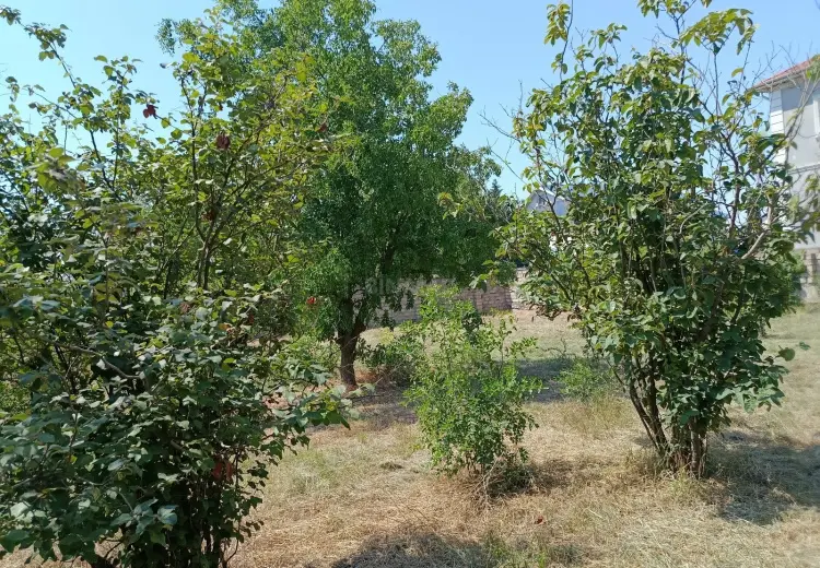 6 sot Torpaq Satılır, Məştağa qəs., Sabunçu, Bakı