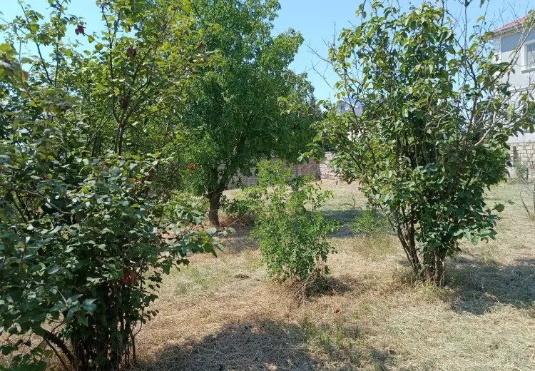 6 sot Torpaq Satılır, Məştağa qəs., Sabunçu, Bakı